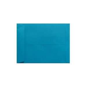  9 x 12 Open End Envelopes   Pool (250 Qty.) Office 
