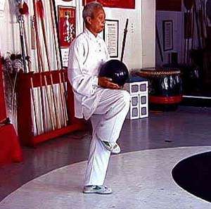   lineage holder in chen family taijiquan gongfu and a direct descendant