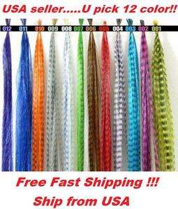 Pick Grizzly Synthetic 16 Feather Hair Extensions + Free Beads 