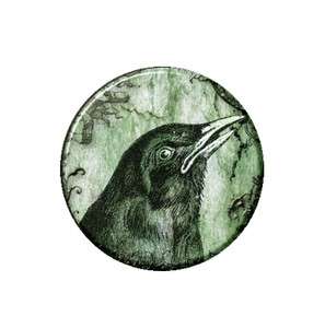Crow Head Ring Necklace Pendant Bottle Opener Button Mirror Magnet 1 