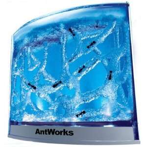  Fascinations AntWorks Illuminated Blue Toys & Games