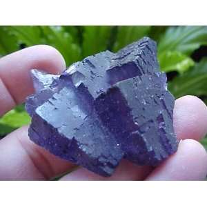  A1111 Gemqz Purple Fluorite Miniature Cluster Nice 