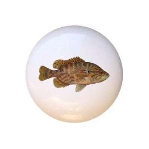  Warmouth Fish Drawer Pull Knob