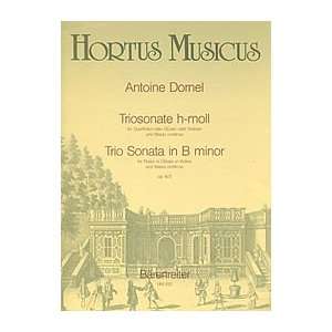   /Violinen) und Basso continuo h Moll op. 3/3 (9790006004843) Books