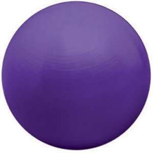  55cm Burst Resistant Body Ball