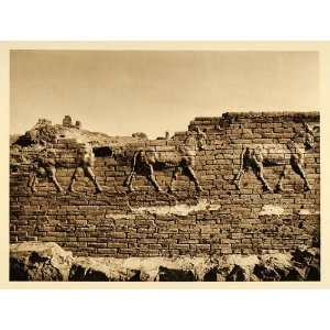  1925 Babylon Ishtar Gate Aurochs Bulls Sculpture Relief 