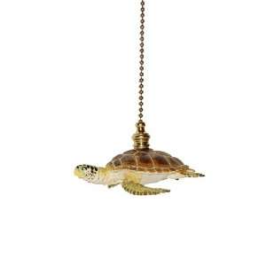  Loggerhead Turtle Fan Pull