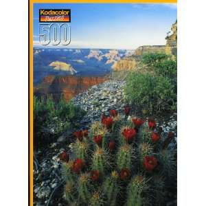    Kodak Kodacolor 500 Piece Puzzle Claretcup Cactus Toys & Games
