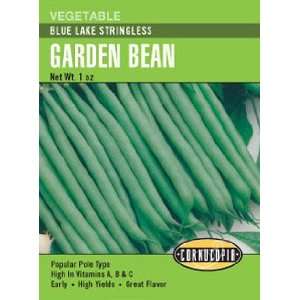  Bush Bean Blue Lake Stringless Seeds Patio, Lawn & Garden