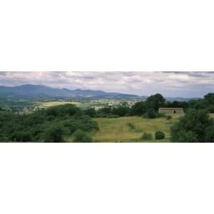  Trees on a Landscape, Carsulae, Umbria, Italy Stretched 