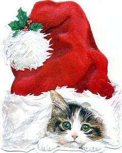 Box of 15 Christmas Cards   Carol Wilson Santa Cap Kitten  