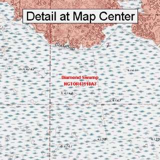  USGS Topographic Quadrangle Map   Diamond Swamp, Oregon 