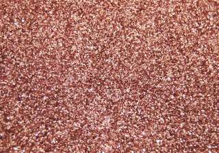 Lb Glitterex Salmon Pink .008 Square Cut Premium Poly Glitter Powder 