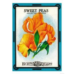 Sweet Peas Seed Packet Giclee Poster Print, 9x12