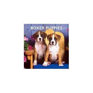  Boxer Puppies 2009 Mini Wall Calendar