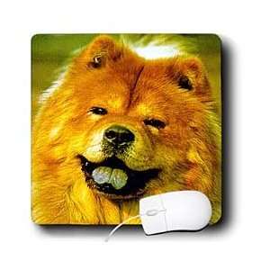  Dogs Chow Chow   Chow Chow   Mouse Pads Electronics