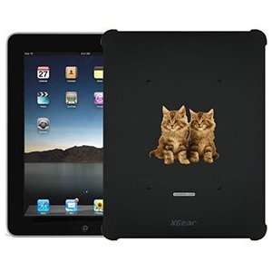  Maine Coon Two on iPad 1st Generation XGear Blackout Case 