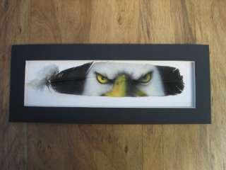 Russ Abbott Hand Painted Feather   Bald Eagle Eyes  