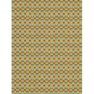  Checker Flag Oasis by Robert Allen Fabric 