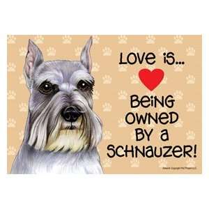  Schnauzer (Love is being owned by) Door Sign 5x10 