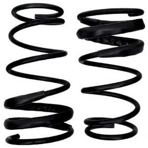  ACDelco 45H3136 Professional Rear Spring Set Automotive