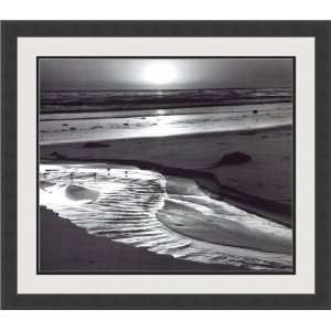  Birds on a Beach, Evening, 1966 by Ansel Adams