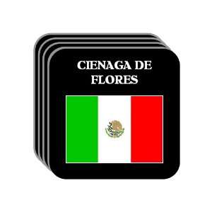  Mexico   CIENAGA DE FLORES Set of 4 Mini Mousepad 