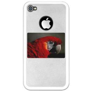   iPhone 4 or 4S Clear Case White Scarlet Macaw   Bird 