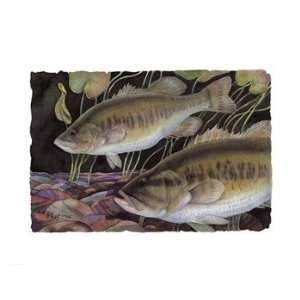 Largemouth Bass   Poster by Paul Brent (15x11.5)