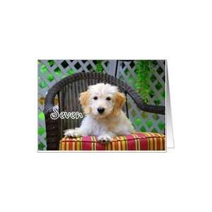  Happy Birthday to Seven   Golden Doodle Puppy Card Toys & Games