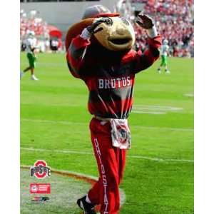    Ohio State Buckeyes Brutus On Field Photo