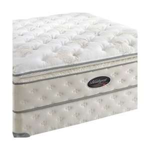 Simmons Beautyrest World Class Meadowbrook Plush Firm Super Pillow Top 