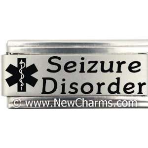  Seizure Disorder Medical Alert Italian Charm Bracelet 
