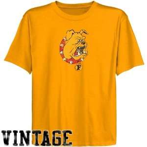  Ferris State Bulldogs Youth Gold Distressed Logo Vintage T 