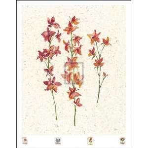  Orchids by Jenny Tsang 10x12