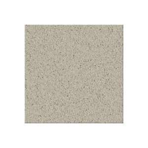  Mohawk Industries 9639533 Pale Taupe Horizon Mira Mesa 