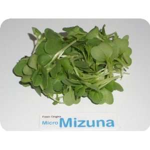 Micro Greens   Mizuna   4 x 4 oz Grocery & Gourmet Food