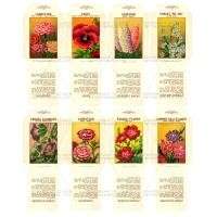 Dolls House Flower Seed Packets (Set 2)  