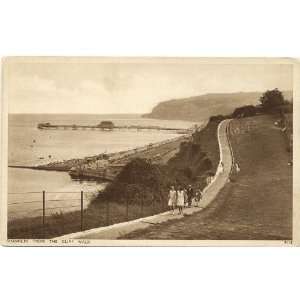 1930s Vintage Postcard View from the Cliff Walk Shanklin Isle of Wight