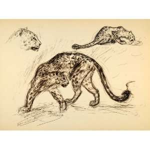  1944 Print Cheetah Spotted Leopard Ernst Denzler Art 