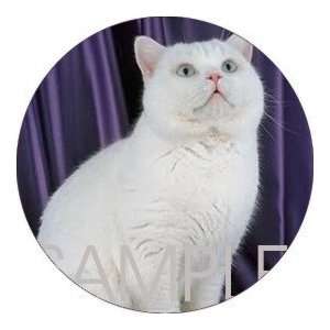   pcs   ROUND   Designer Coasters Cat/Cats   (CRCT 015)