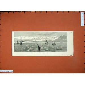  1876 Saugor Island Lighthouse River Hooghily Ships Sea 