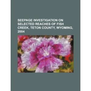  Seepage investigation on selected reaches of Fish Creek 