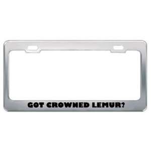  Got Crowned Lemur? Animals Pets Metal License Plate Frame 