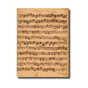   The Brandenburger Concertos No5 Ddur 1721 Giclee Print