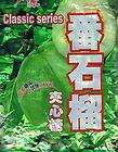 classic guava hard candy sweet sandwiched candy rich guava flavor