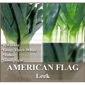  80 AMERICAN FLAG LEEK SEEDS ~ PERFECT FOR SOUPS, STEWS 