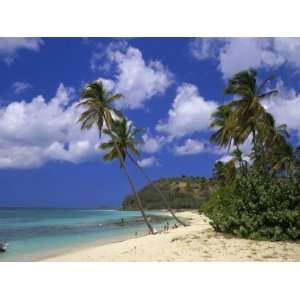 Darkwood Beach, Antigua, Leeward Islands, Caribbean, West Indies 