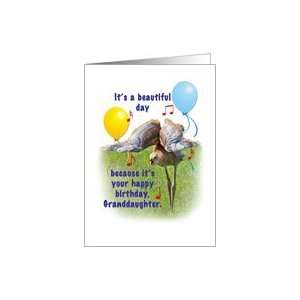   Birthday, Humor, Sandhill Crane Bird Card Toys & Games