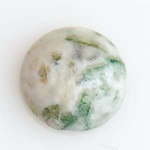  10mm Tree Agate Round Cabochon   Pack Of 2 Arts, Crafts 